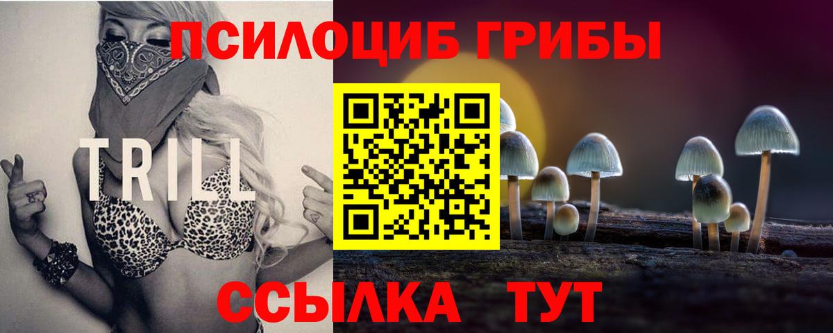 Калач-на-Дону  Галлюциногенные грибы ЛСД  Вход с VPN  Псилоцибиновые грибы Cubensis 